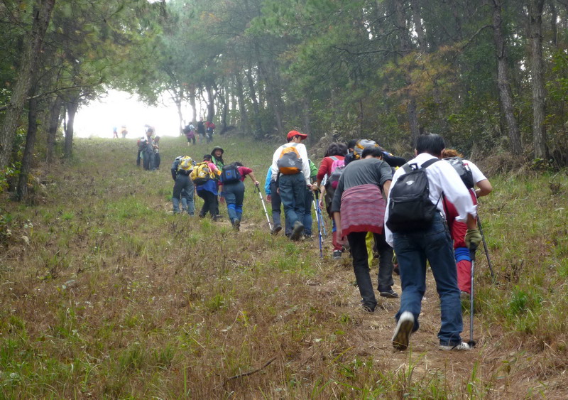 p1020221.jpg