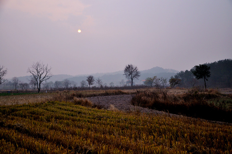 dsc_0211_.jpg