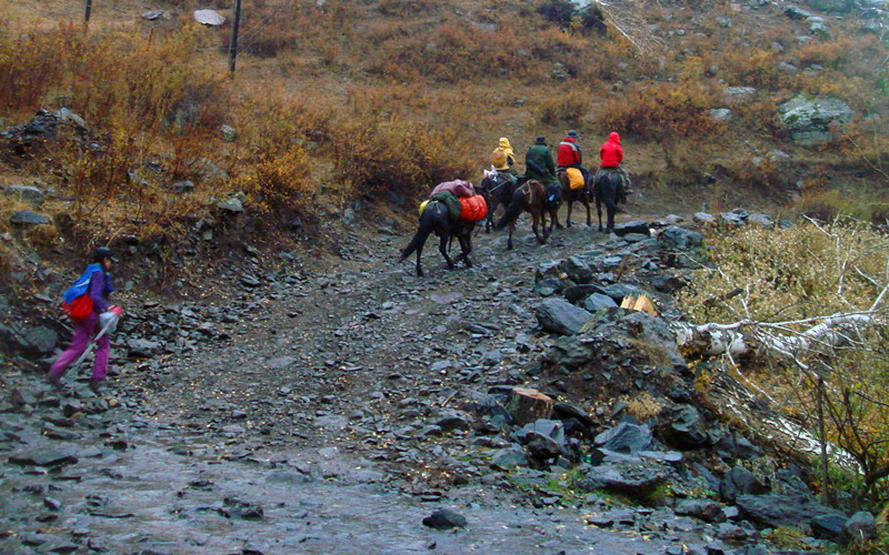 dsc09480.jpg