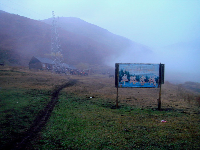 dsc09484.jpg