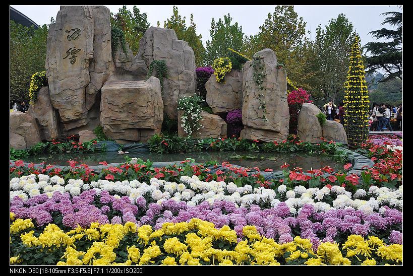 dsc_1964.jpg
