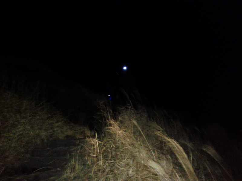 img_20111125_184833.jpg
