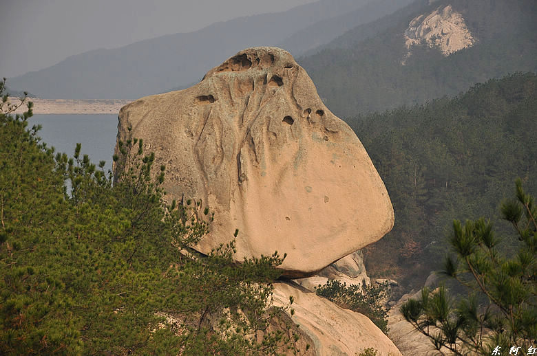 dsc_2861.jpg