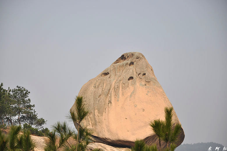 dsc_2878.jpg