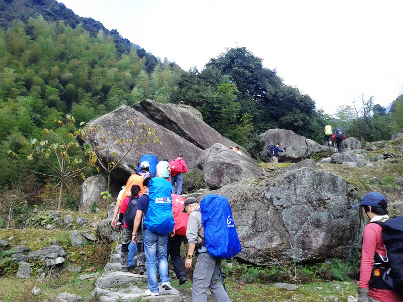 img_20111125_Ӵ羰.jpg