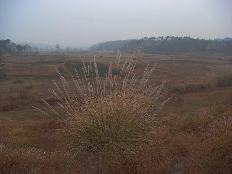 dsc21.jpg