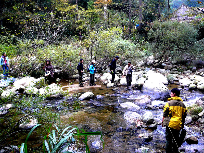 p1170865.jpg