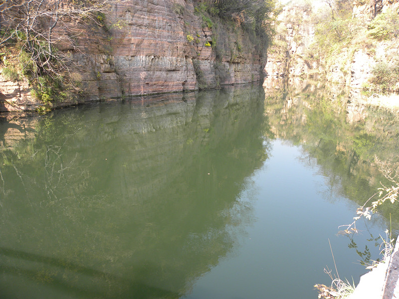 dscn4959_.jpg