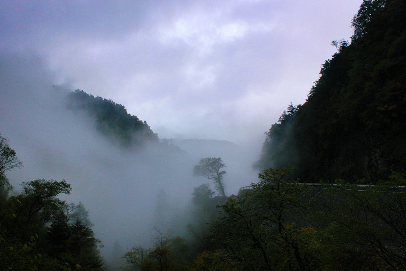 img_3173.jpg