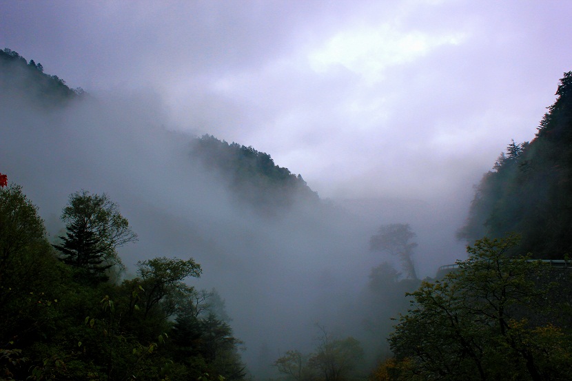 img_3174.jpg