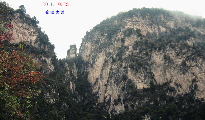 img_4426_`1.jpg