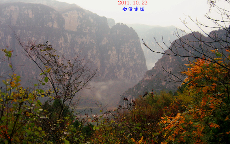 img_4427_1.jpg