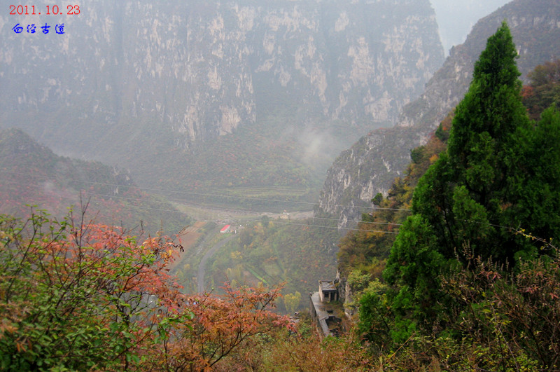 img_4456_1.jpg