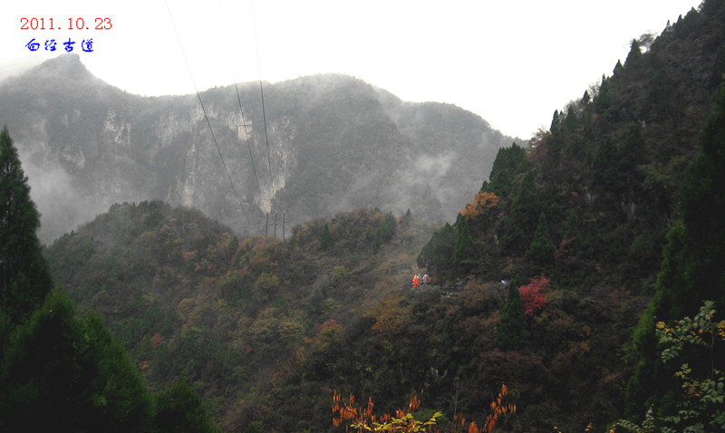 img_4463_1.jpg