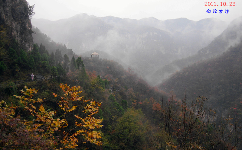 img_4528_1.jpg