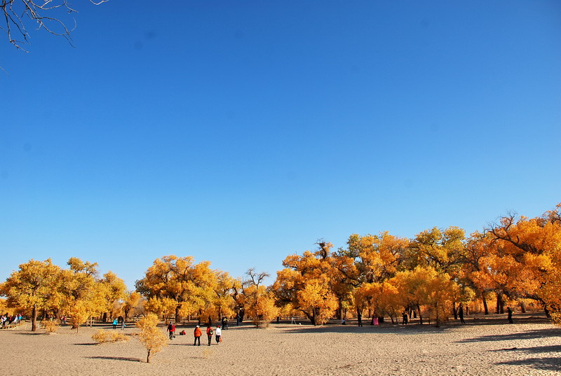 dsc_0273.jpg