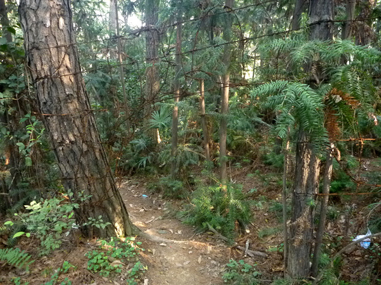 p1080783_.jpg