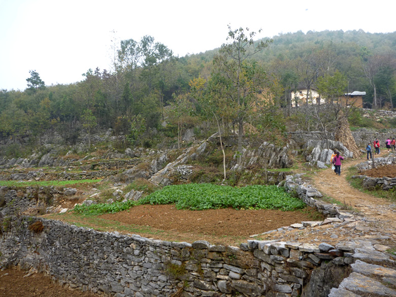 p1080901_.jpg