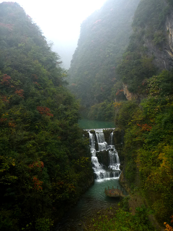 p1090077_.jpg