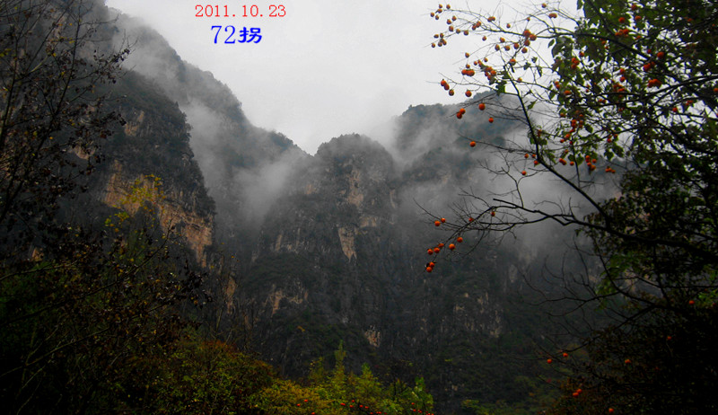 img_4706_1.jpg