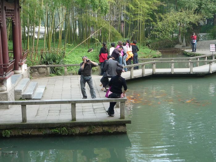 p1130583.jpg