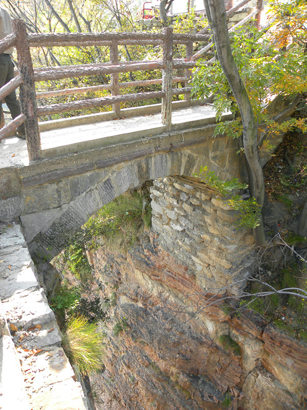 dscn4989_.jpg
