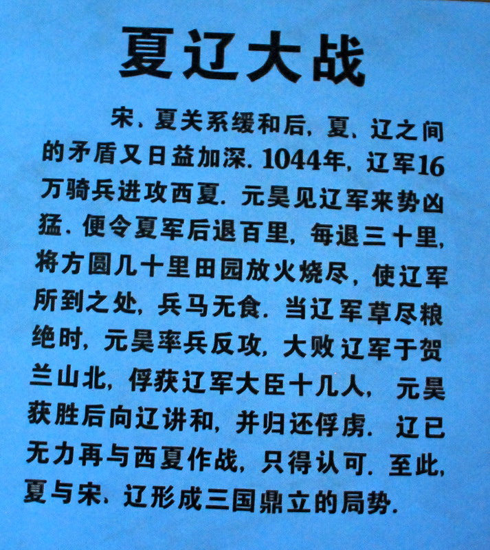 dsc_0603.jpg