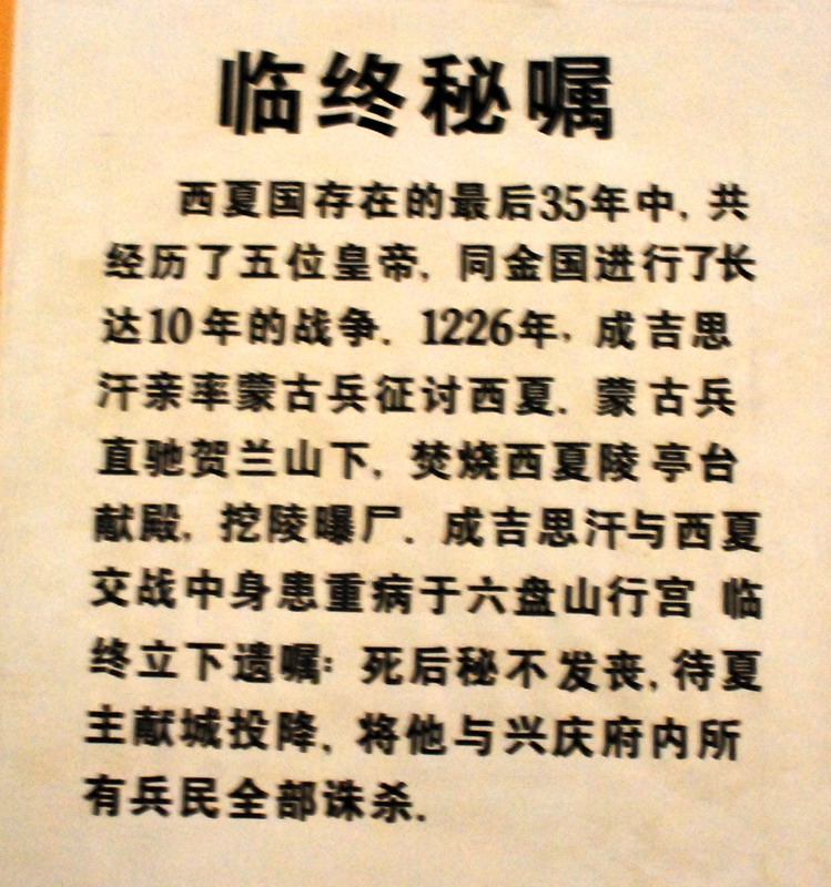 dsc_0610.jpg