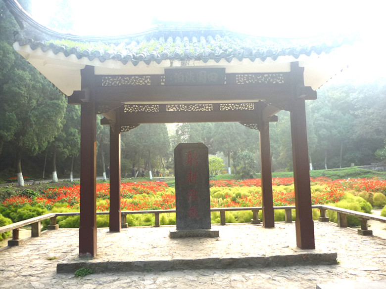 p1080841_.jpg