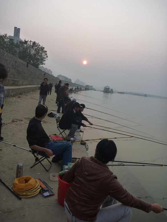 p1080857_.jpg