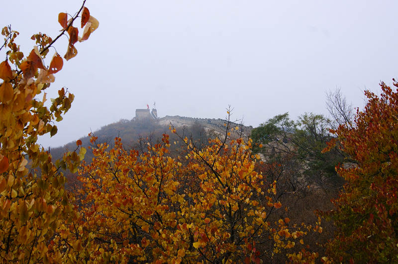 dsc01088.jpg