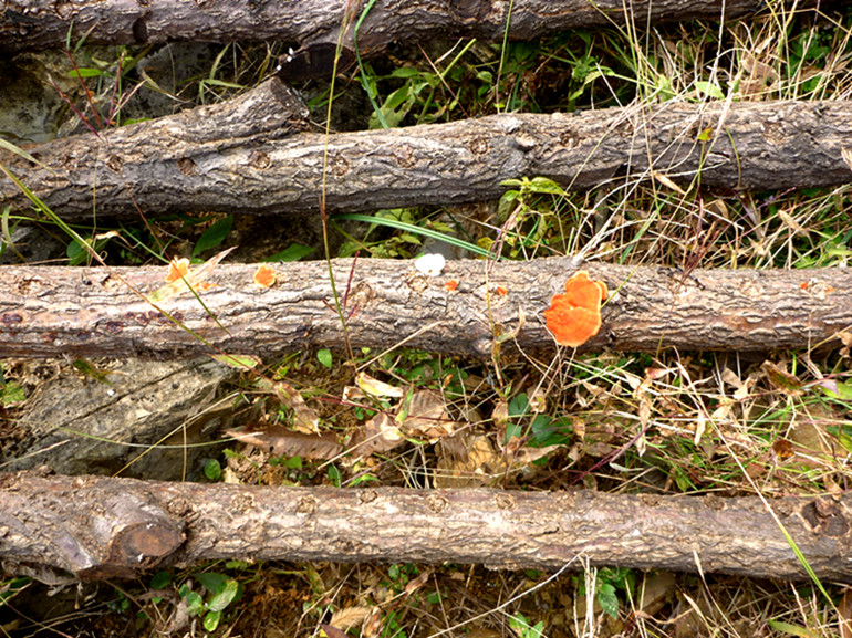 p1080907_.jpg