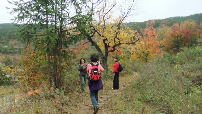 dscf6531.jpg