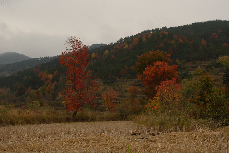 dsc_0073.jpg