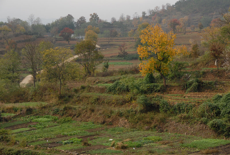 dsc_0151.jpg