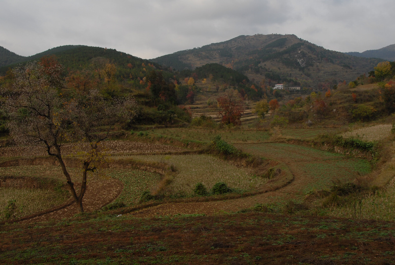 dsc_0152.jpg