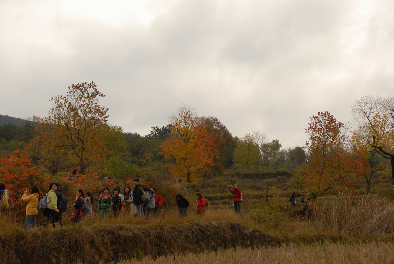 dsc_0017.jpg