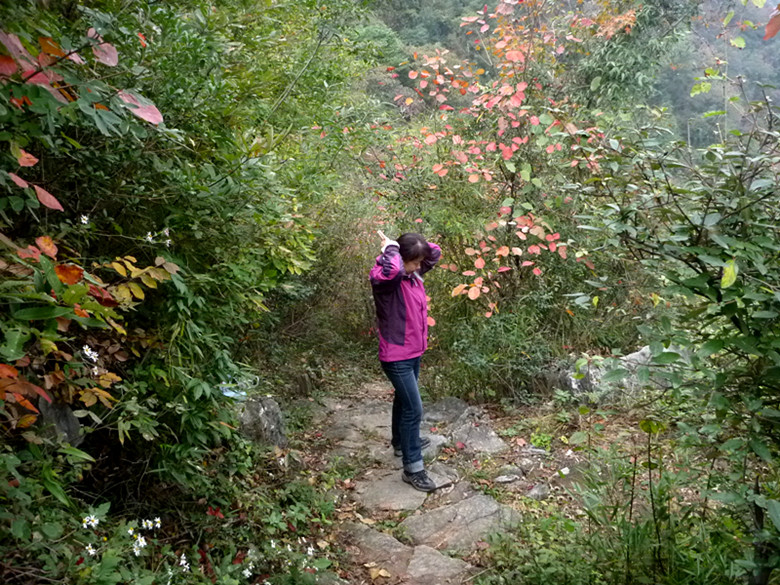 p1080909_.jpg