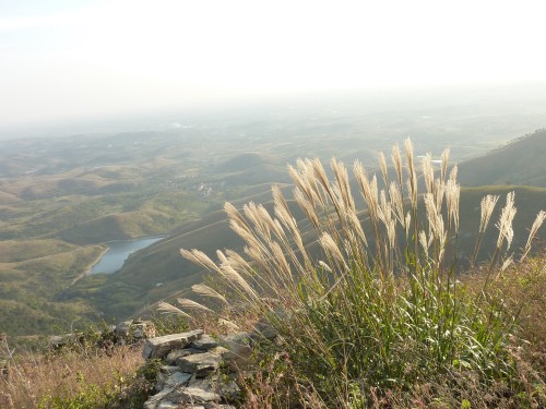 p1040342_conew1.jpg