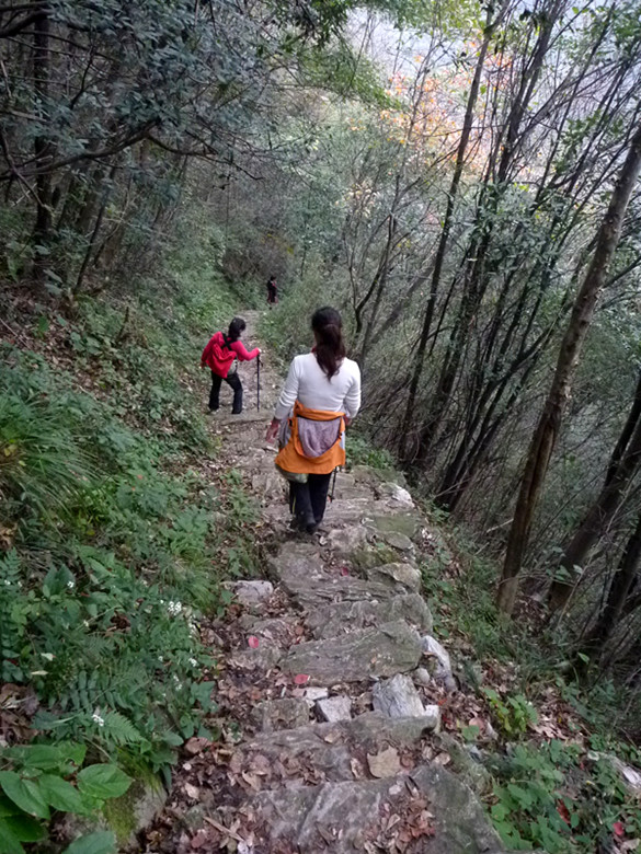 p1080914_.jpg