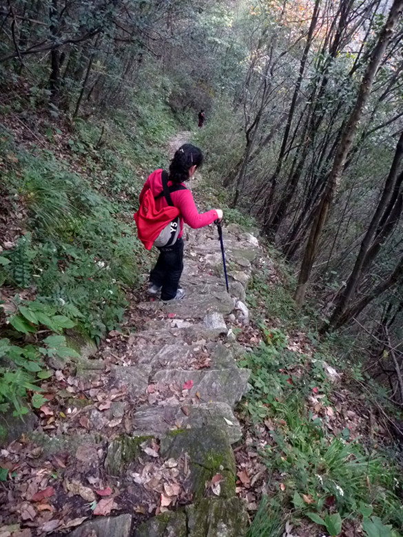 p1080913_.jpg