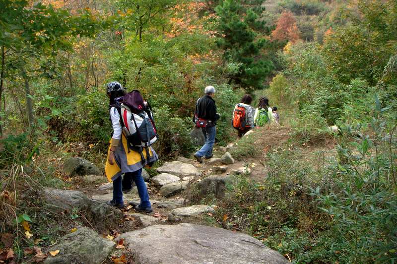 dsc00086.jpg