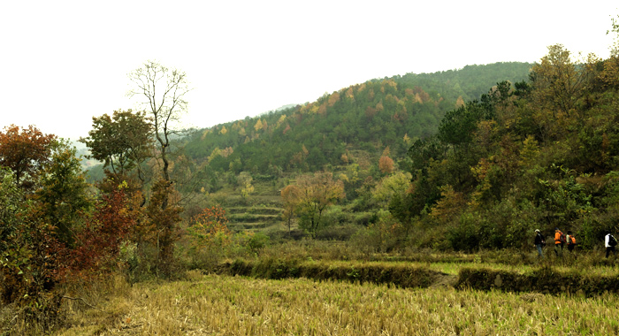_dsc7597a.jpg