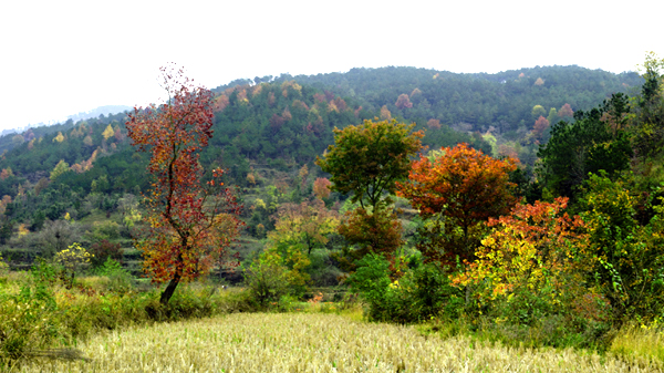 _dsc7604_1a.jpg
