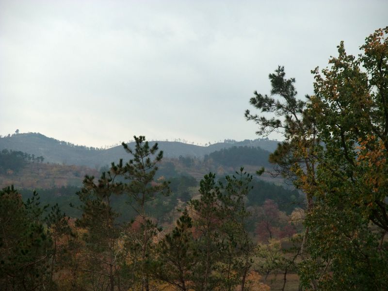 dscf1934.jpg