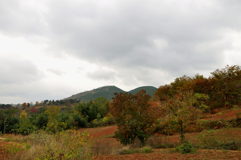 dsc_0060_.jpg