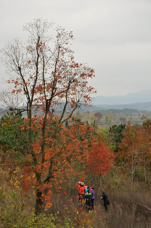 dsc_0075_.jpg