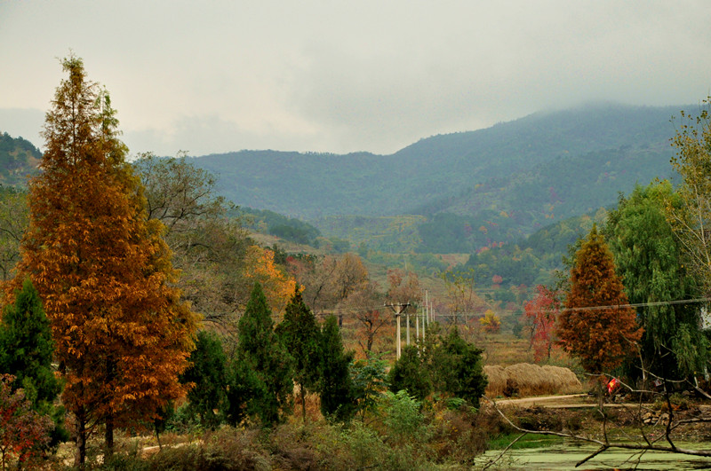 dsc_0147_.jpg