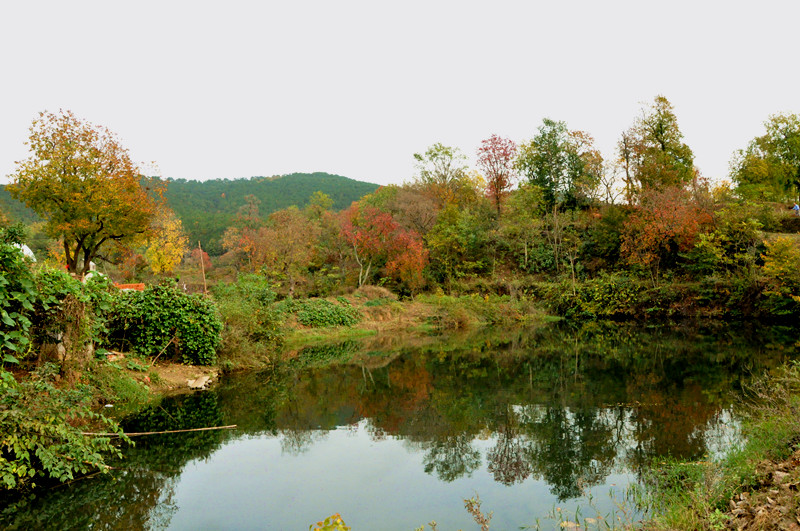 dsc_0152_.jpg