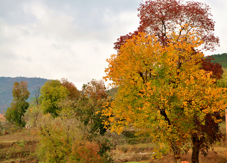 dsc_0168_.jpg